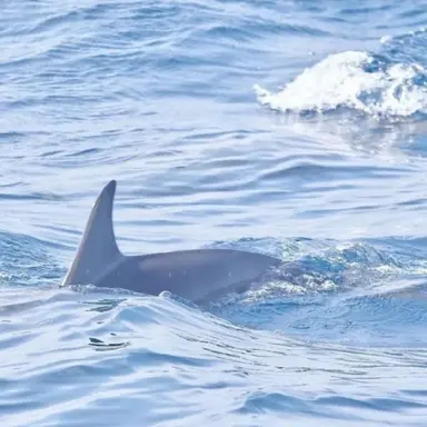 Profile image of 연이