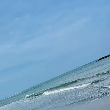 Profile image of 荼毘