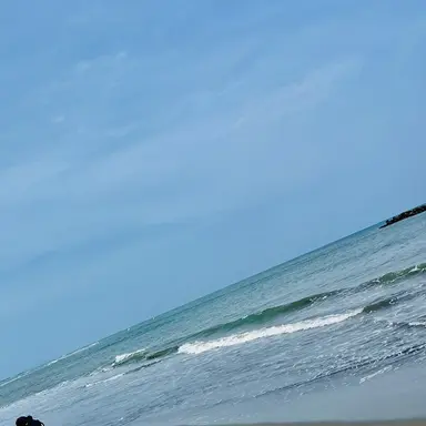 Profile image of ホークス