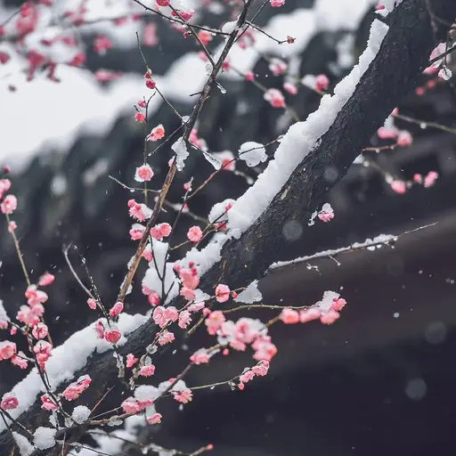 monan의 조선게이