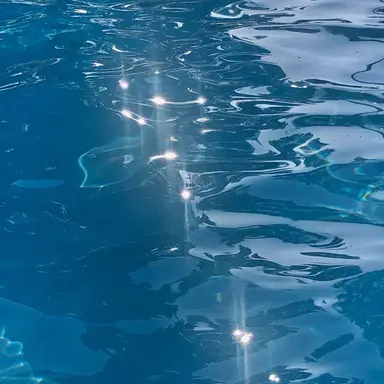 Profile image of 싸이클