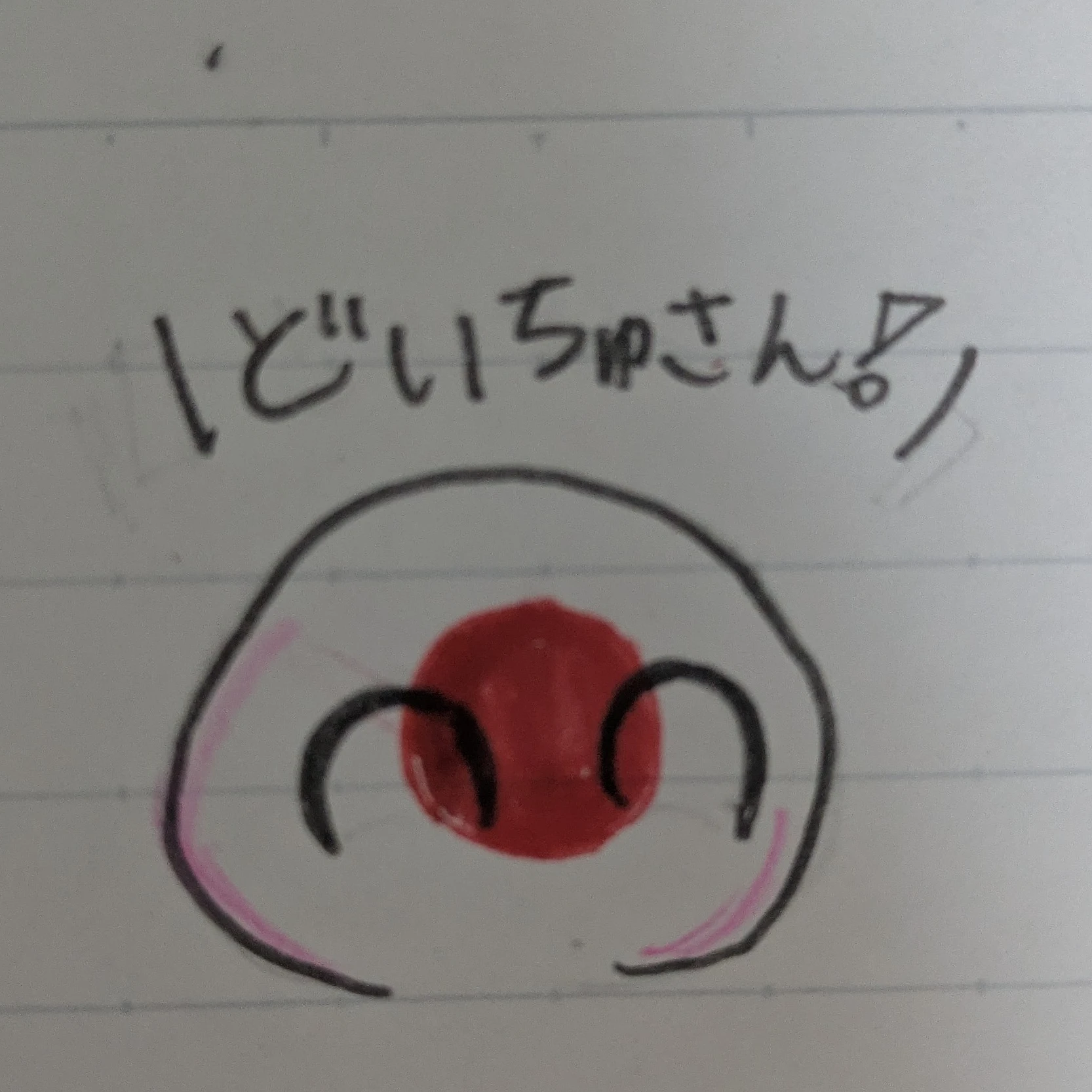 主要地域