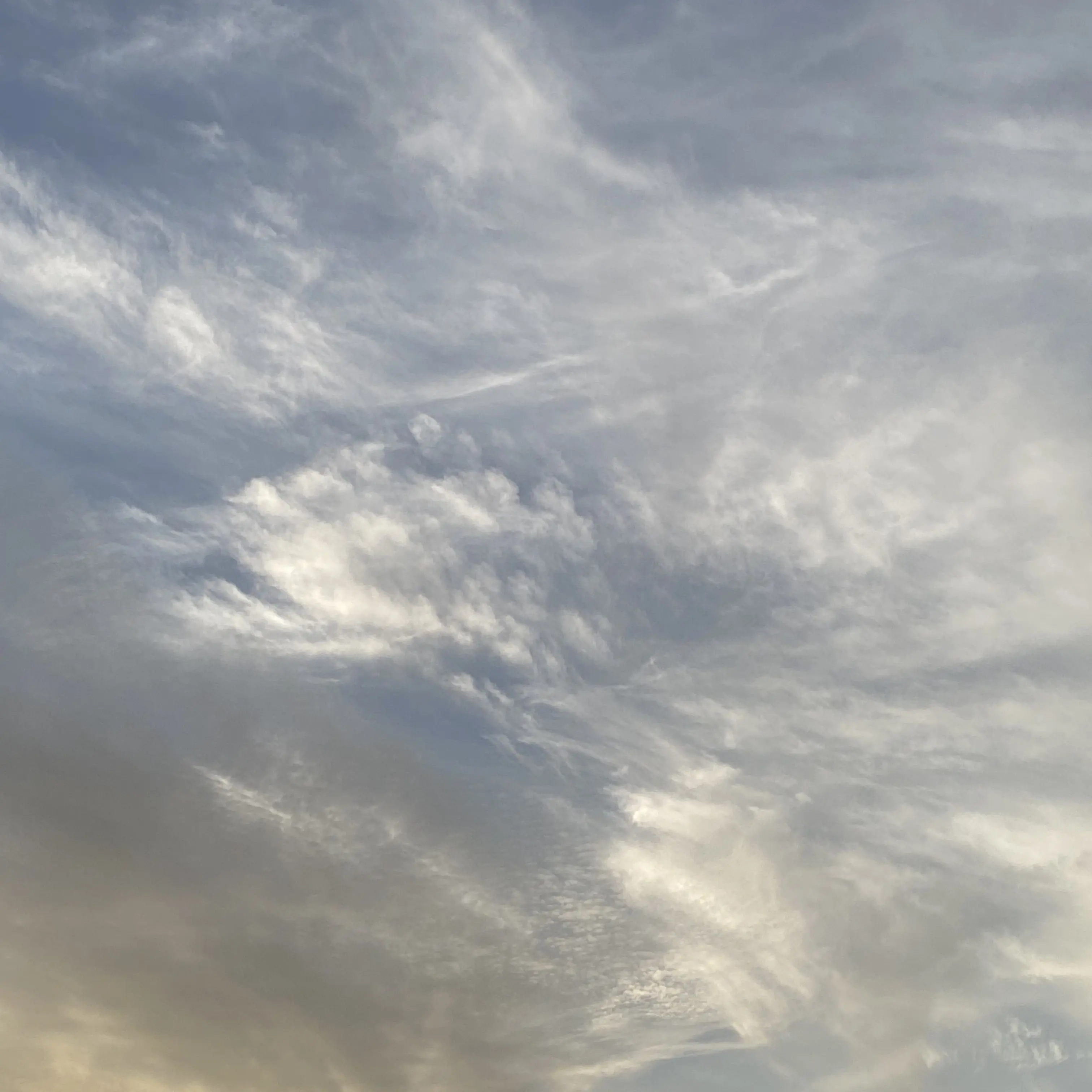 FuzzyLock2889의 ワンちゃん飼ってるって大変ね