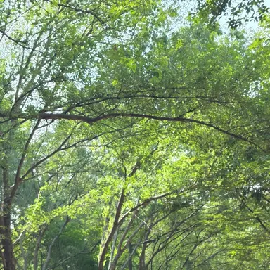 Profile image of 김민정