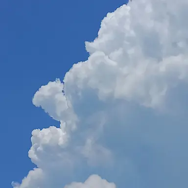 Profile image of 미노
