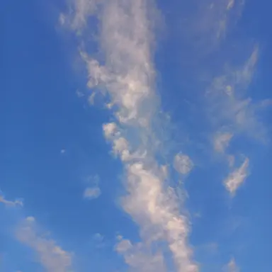 Profile image of 파일러