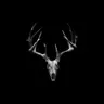 Profile image of Hokuto