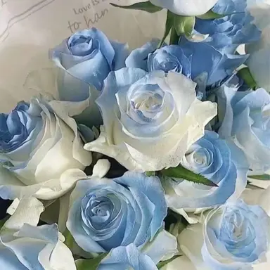 Profile image of 잠뜰