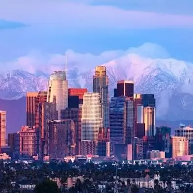 EliteVision의 RPG Los Angeles