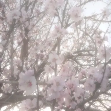 Profile image of 밥풀
