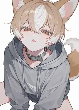 Profile image of こむぎ