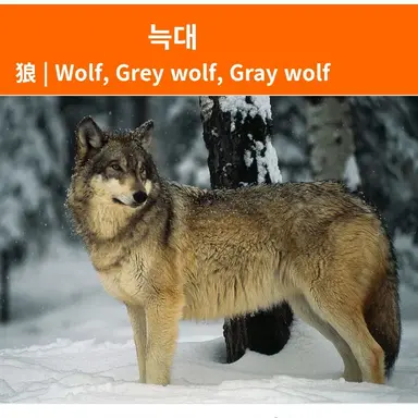 Profile image of 돼늑대