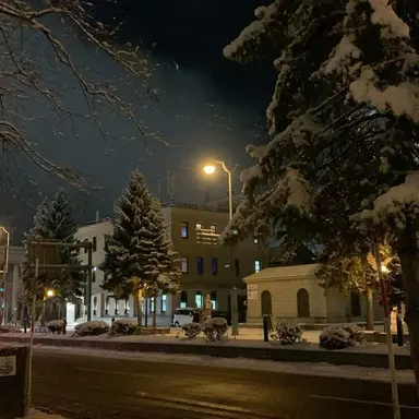 Profile image of 토일