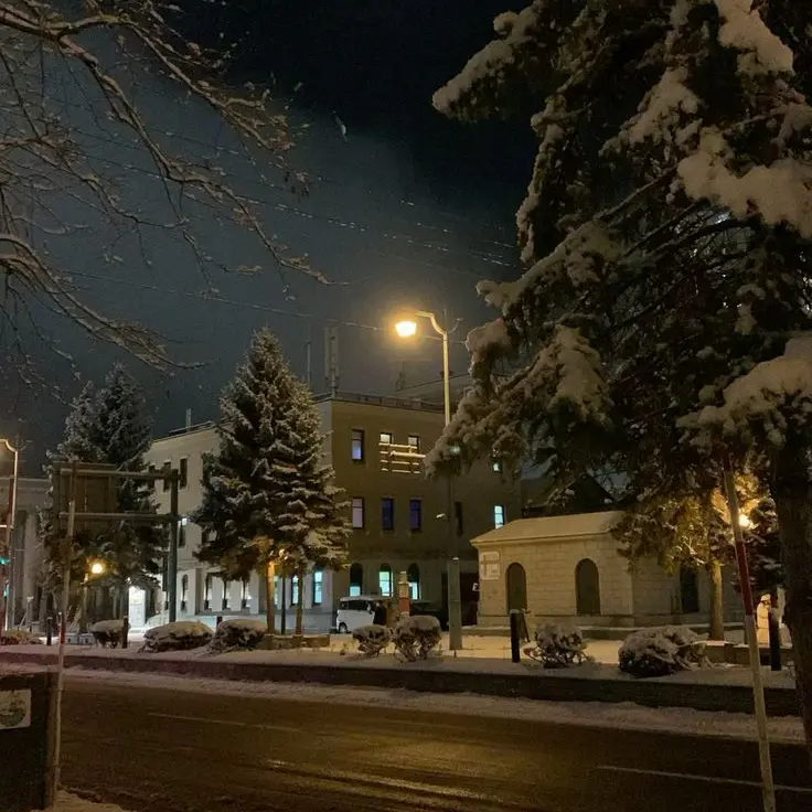 StupidKea5831의 담배 냄새