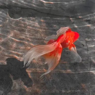 Profile image of 유우민