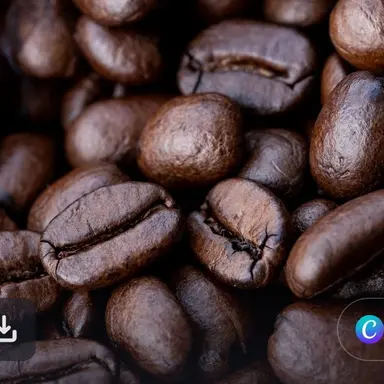 Profile image of 진