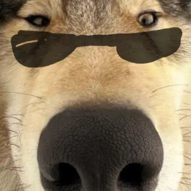 Profile image of 늑대