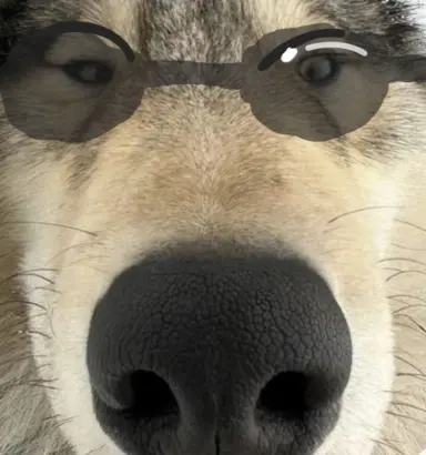 Profile image of 늑대