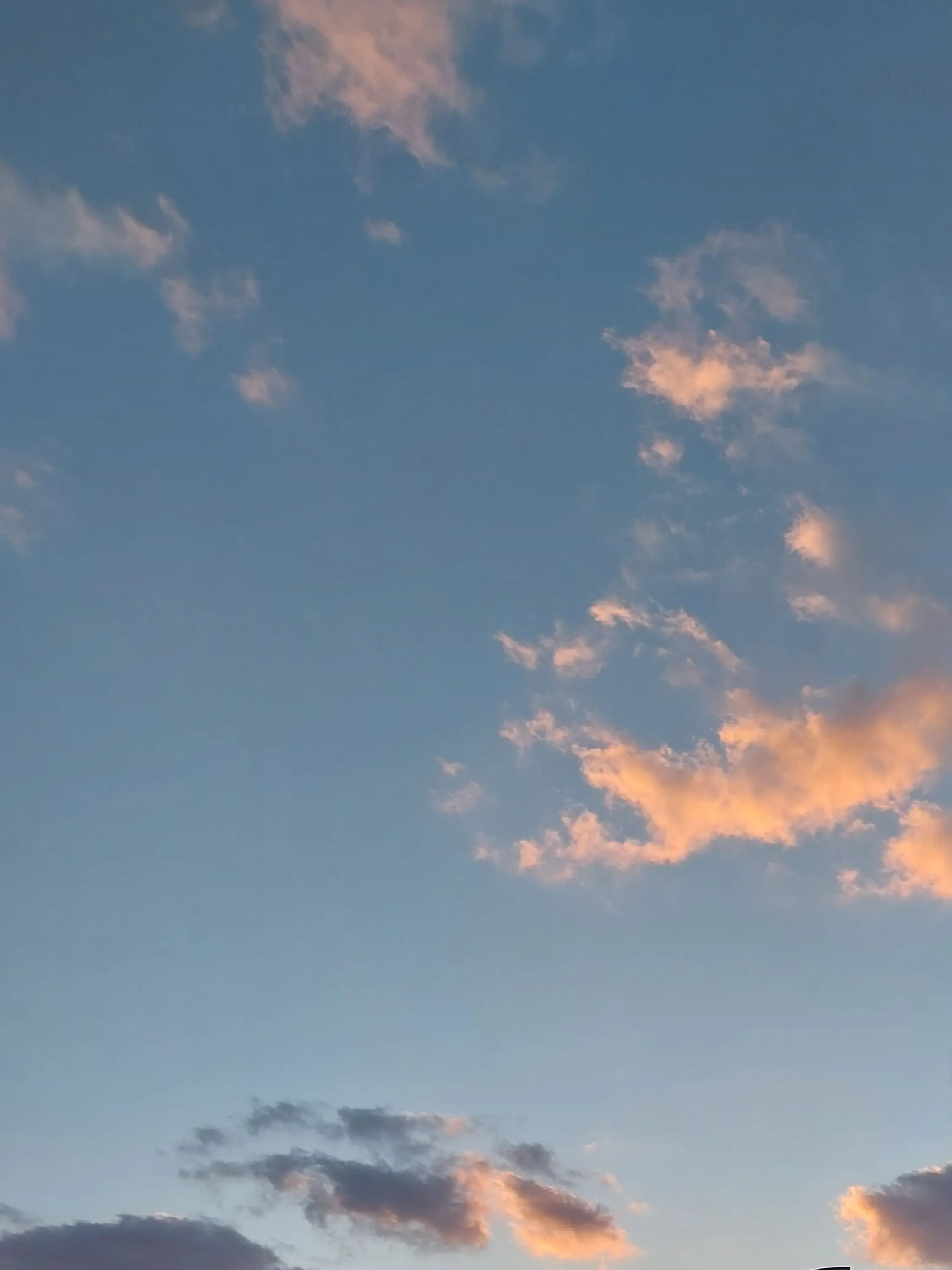 chdjzjbx의 "굳이 살아가야할 이유가있나"