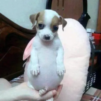 Profile image of 김지우