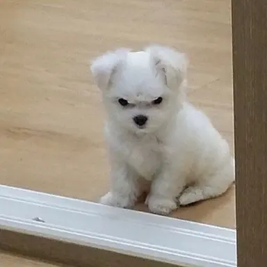 Profile image of 배진솔