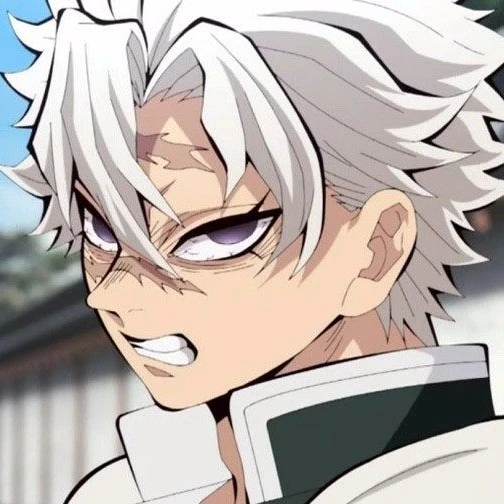 시나즈가와 사네미