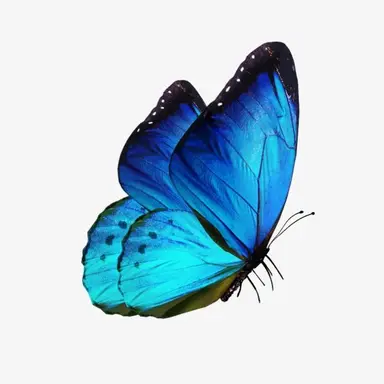 Profile image of 텐