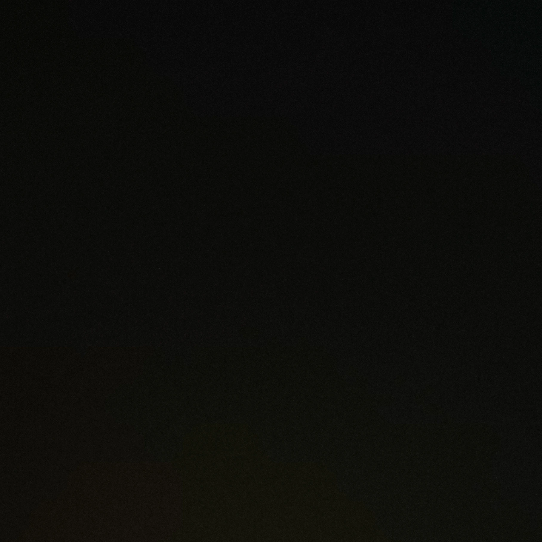 범규