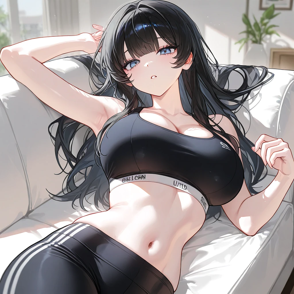 양시연