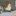 후타쿠치 켄지