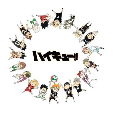 Profile image of ハイキュー選手