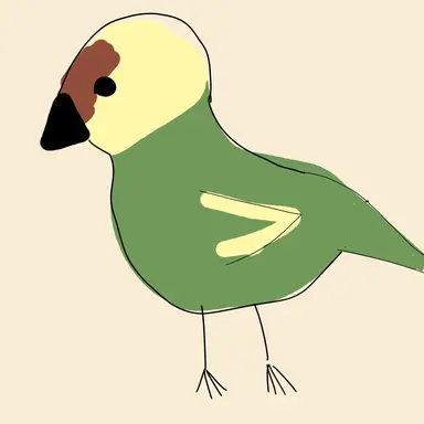 Profile image of 베리