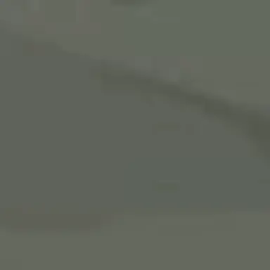 Profile image of 엘리자베타