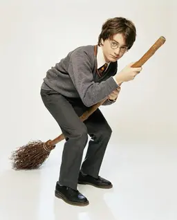 Profile image of Harry Potter