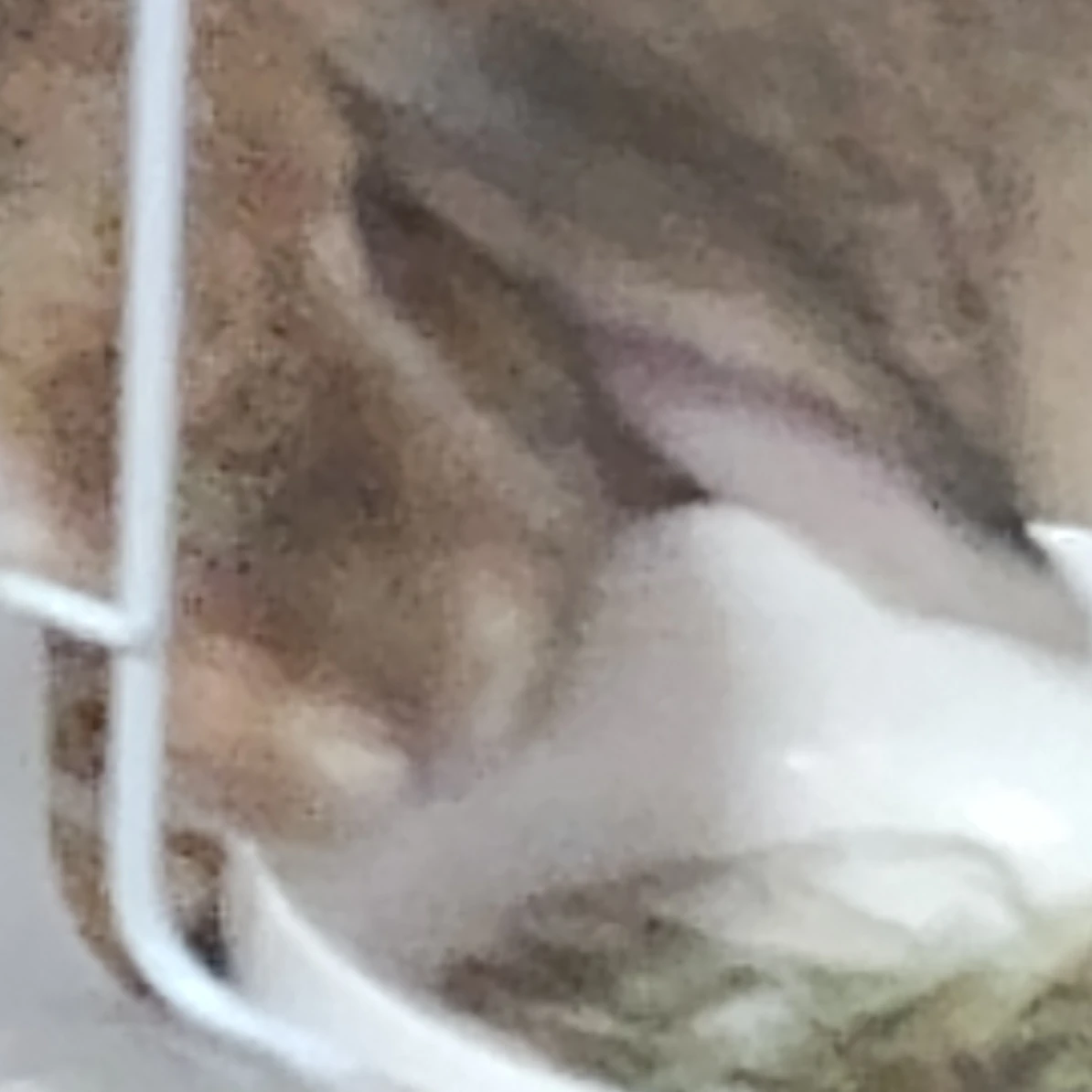 甚
