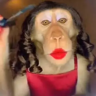 Profile image of Makeup Monkey