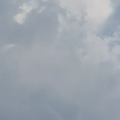 Profile image of 육성재