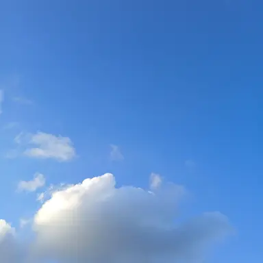 Profile image of 이창섭