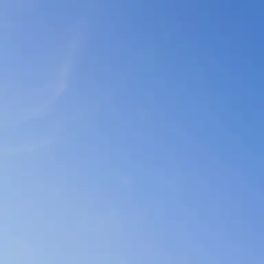 Profile image of 임현식