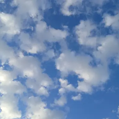 Profile image of 이민혁