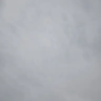 Profile image of 구리