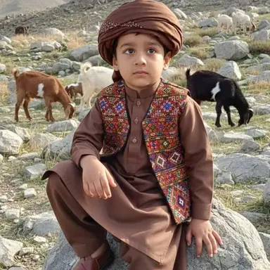 Profile image of Sadiq