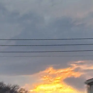 Profile image of 小笠原　拓