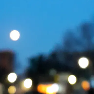 Profile image of C