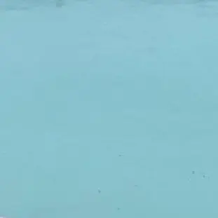 Profile image of 천장미