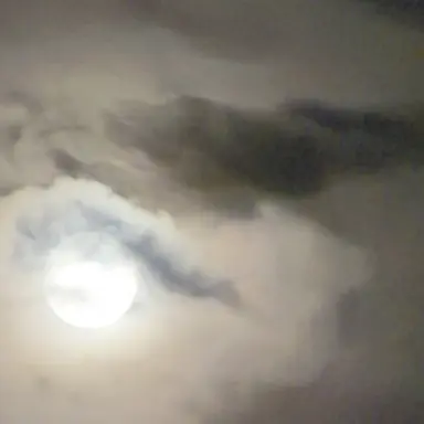 Profile image of 백한결