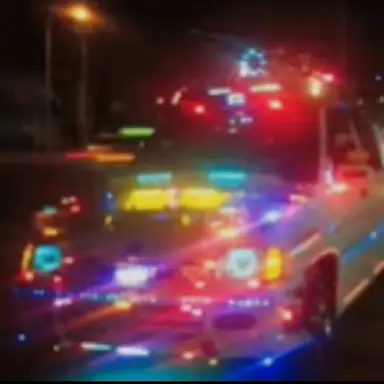 Profile image of 티코