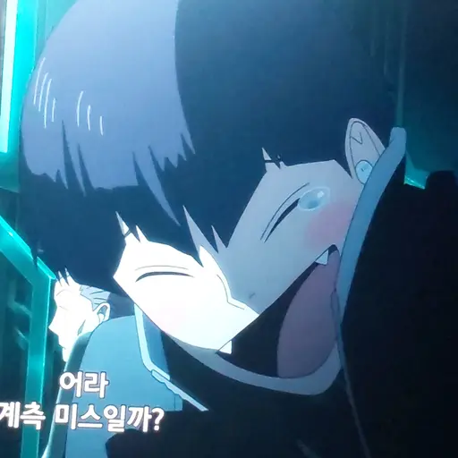 DenseFlake0327의 호시나 소우시로