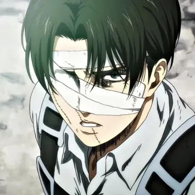 Profile image of Levi Ackerman