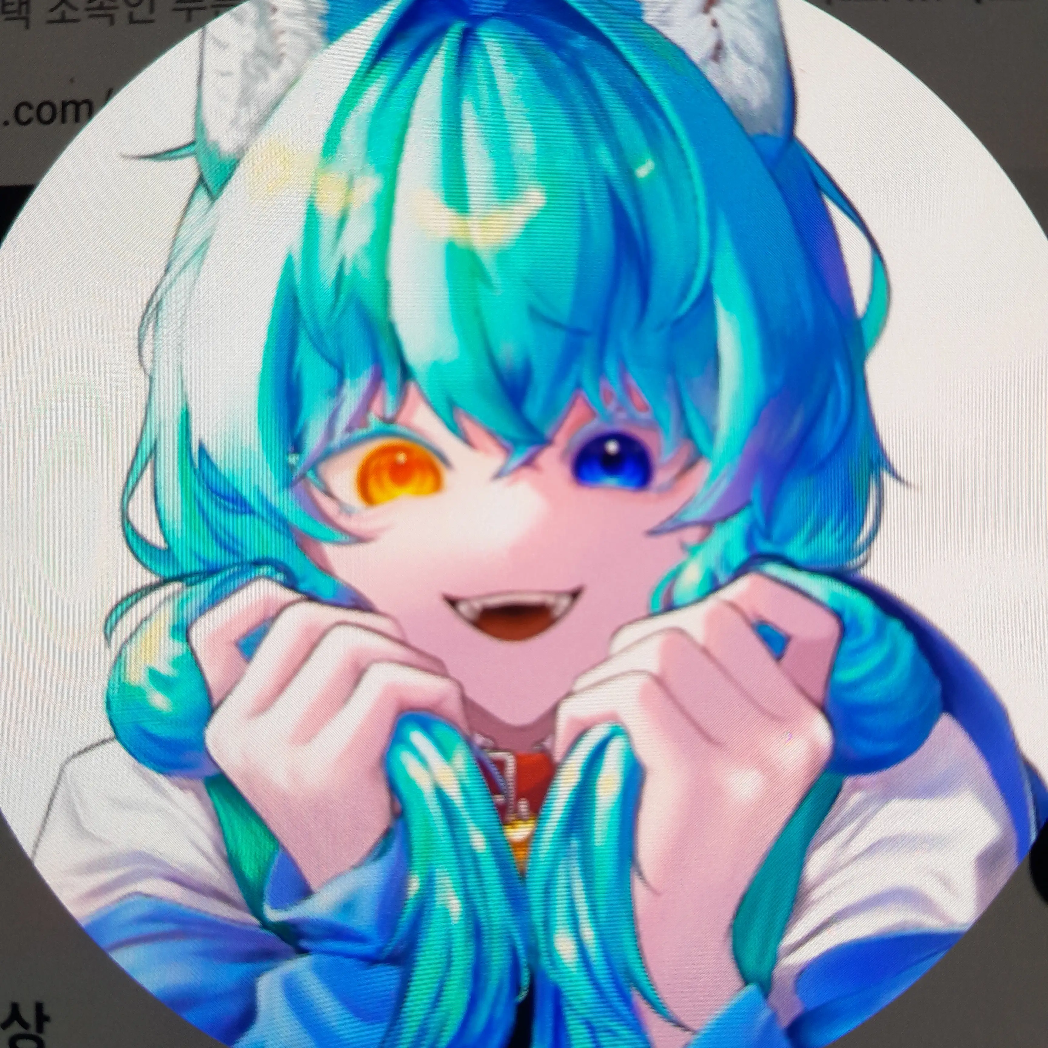 EiEi_345의 료미
